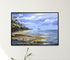 modern black wood framed seagulls and shells original painting wall art print